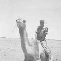229ATN SMARA